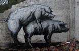 roa | pig | belgium (42 votes)