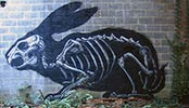 roa | rabbit | belgium (24 votes)