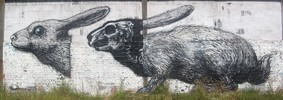 roa | rabbit | belgium (16 votes)