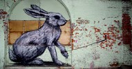 roa | rabbit | gent | belgium (18 votes)