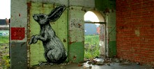 roa | rabbit | gent | belgium (19 votes)