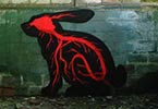roa | rabbit | belgium (28 votes)