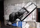 roa | rat | belgium (14 votes)