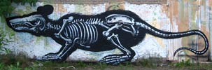 roa | rat | belgium (21 votes)