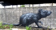 roa | rat | belgium (12 votes)