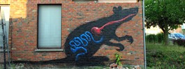 roa | rat | doel | belgium (11 votes)