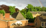 roa | rat | rainbow | belgium (32 votes)