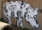 roa | resto | pig | barcelona (16 votes)