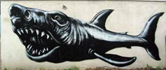 roa | shark | belgium (34 votes)
