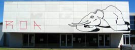 roa | tape | elephant | belgium (21 votes)