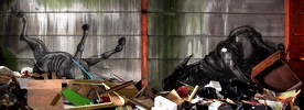 roa | belgium (32 votes)