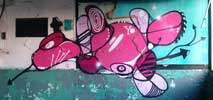 the | plug | pink | belgium (6 votes)