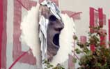 unknown | berlin (1 vote)