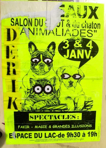 derik | yellow | fluo | bordeaux