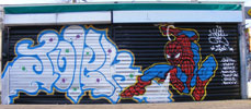jolek | shutters | bordeaux (33 votes)