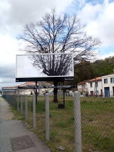 urban | blooz | billboard | bordeaux