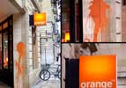 iam | orange | drips | bordeaux (26 votes)