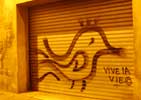 bordeaux | bird (1 vote)
