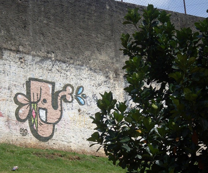 mao | elephant | saopaulo | brazil