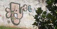 mao | elephant | saopaulo | brazil (29 votes)