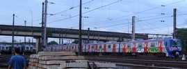 totalgang | train | saopaulo | brazil (33 votes)