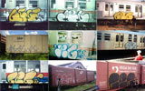 geg | orc | train | saopaulo | brazil (42 votes)