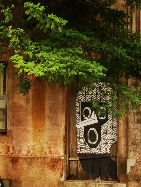 medo | saopaulo | brazil