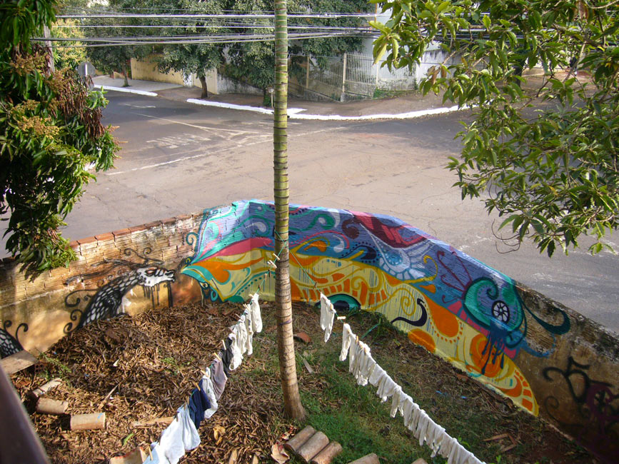 semente | londrina | brazil