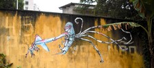 (e) | saopaulo | brazil (36 votes)