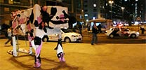 2501 | 3-d | night | brazil (29 votes)