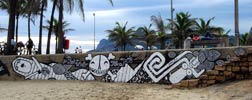 tika | lelo | beach | rio | janeiro | brazil (11 votes)