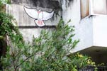 tika | rio | bird | brazil (11 votes)