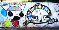 vagabundos | tika | belohorizonte | brazil (5 votes)