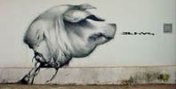 claudio | ethos | pig | brazil (26 votes)