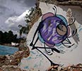ken-e-mosh | brazil (12 votes)
