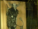 kidkreol | salvador | toro | brazil (14 votes)