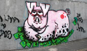 semente | pig | saopaulo | brazil (24 votes)