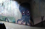 tika | octopus | saopaulo | brazil (14 votes)