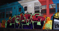 zopes | guepo | rio | janeiro | train | brazil (17 votes)