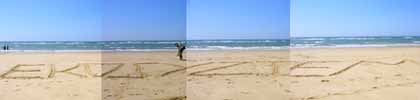 shcrew | gangstaz | ekosystem | beach | bordeaux (5 votes)