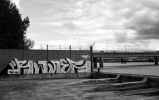 runer | bordeaux (10 votes)
