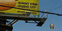 above | moviestar | losangeles | california (19 votes)