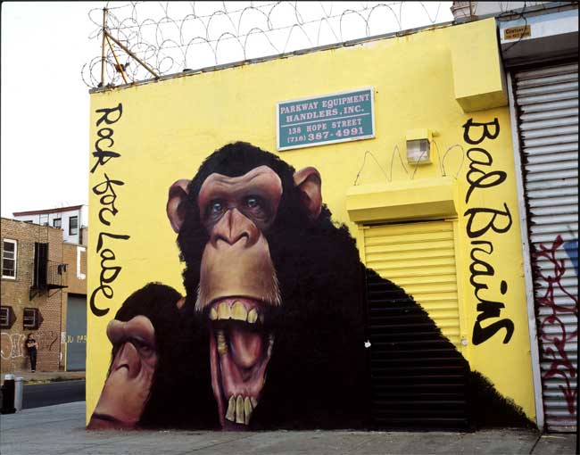 dugan | brooklyn | monkey | nyc