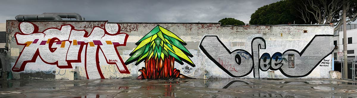 igni | plantrees | breed | sanfrancisco | california