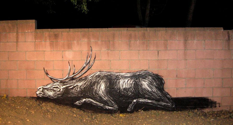 roa | pasadena | california