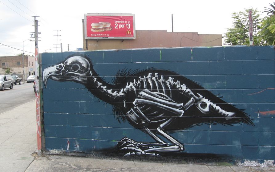 roa | losangeles | california