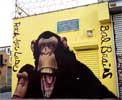 dugan | brooklyn | monkey | nyc (9 votes)