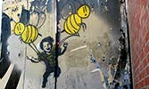bumblebee | yellow | losangeles | california (15 votes)