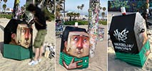 macs | venice | beach | action | calirfornia (38 votes)