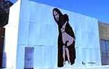 nick-walker | losangeles | california (45 votes)
